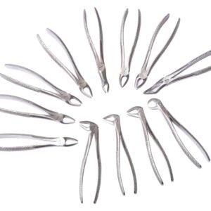 Extraction Forceps Kit Set of 12